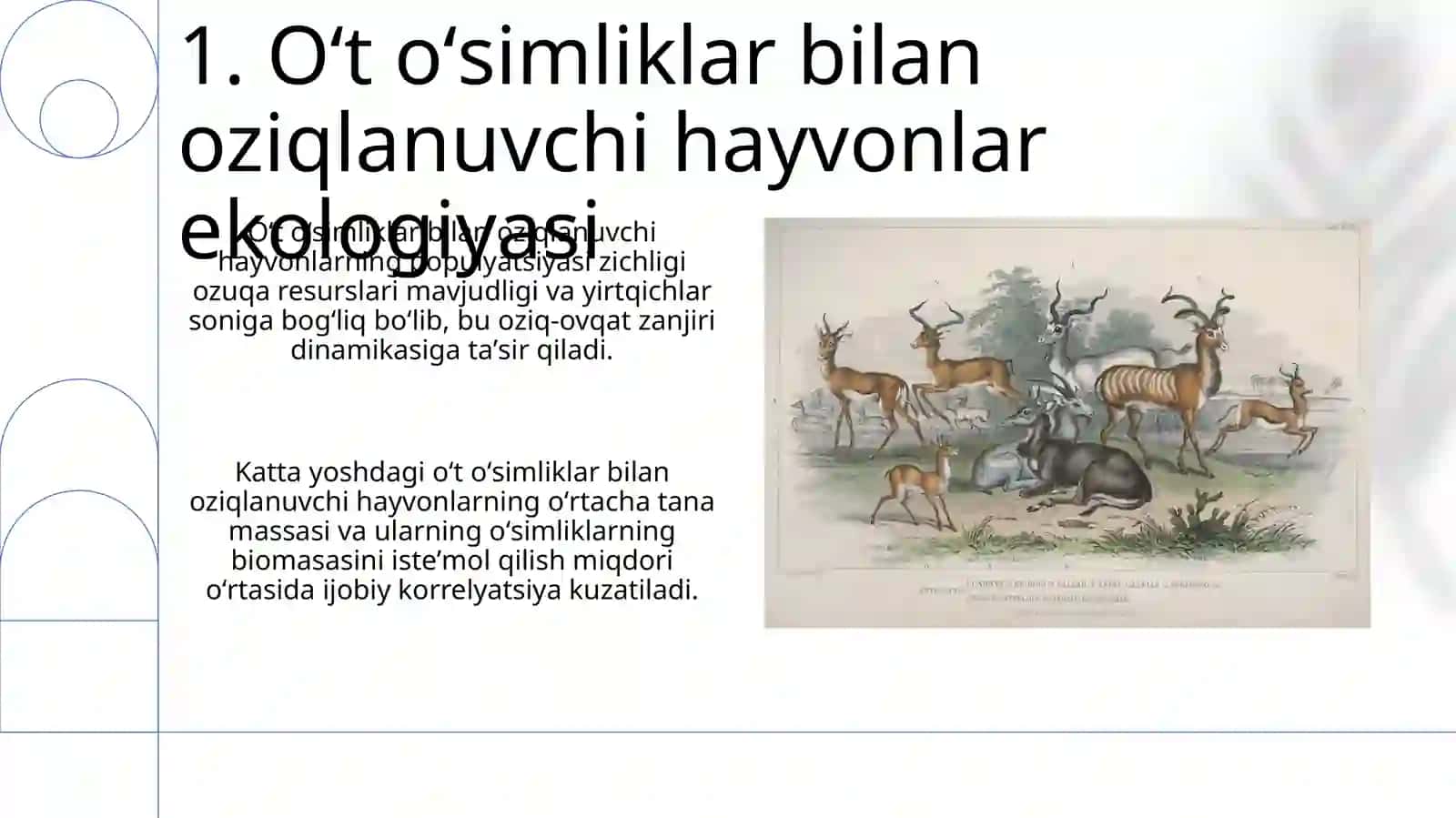 Sutemizuvchi hayvonlar ekologiyasi 3