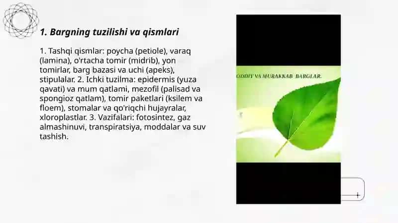 Bargning tuzilishi va qismlari 3