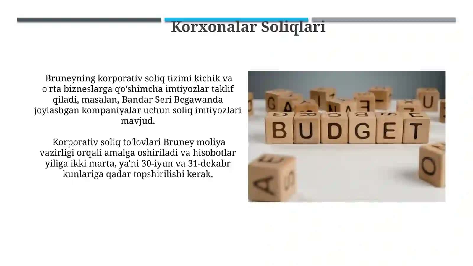 Chet el soliq tizimi Bruniya davlati soliği 3