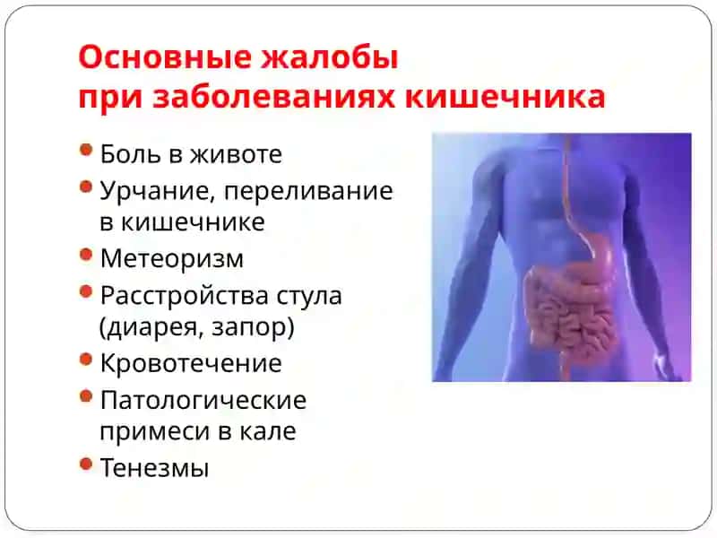 Расспрос больного о заболеваниях кишечника 3
