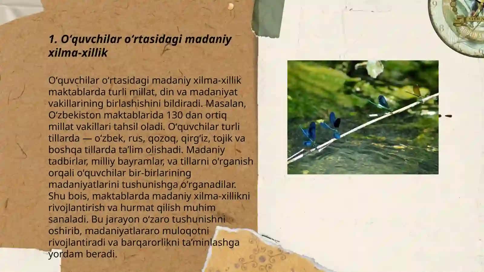Oʻquvchilar va sinfdagi xilma-xillik 3