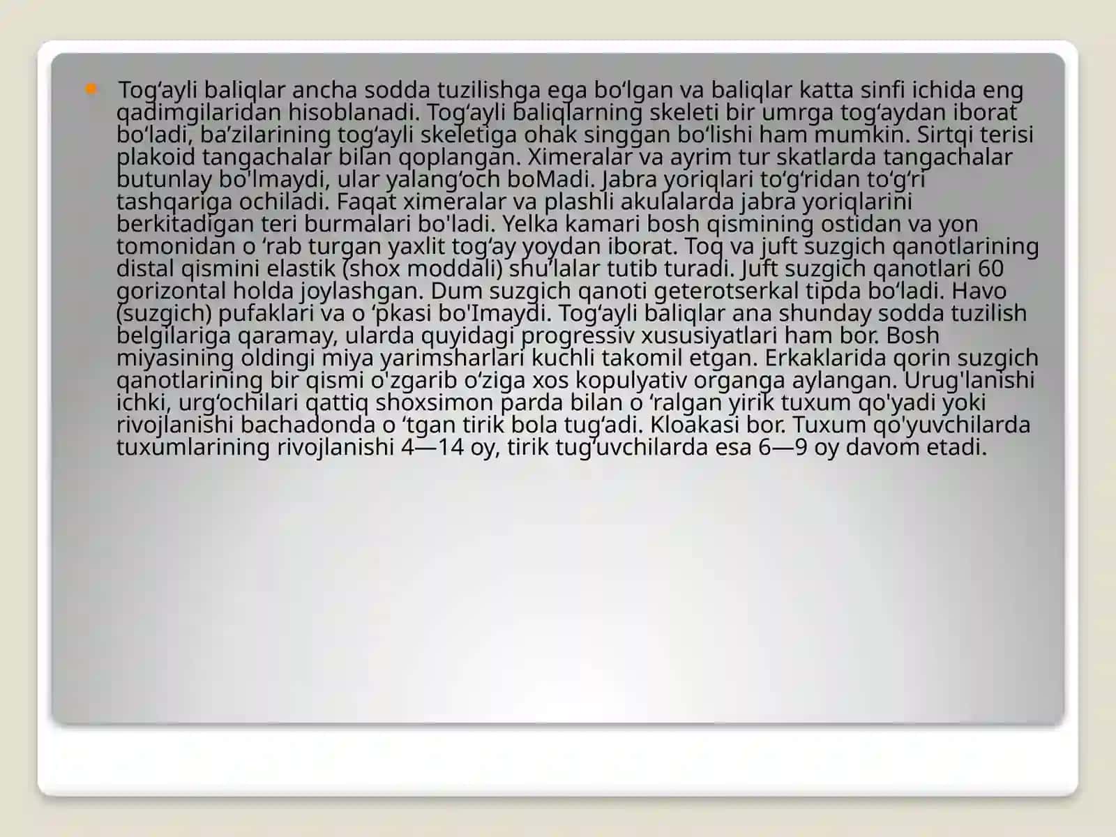 Baliqlarkattasinfi 3