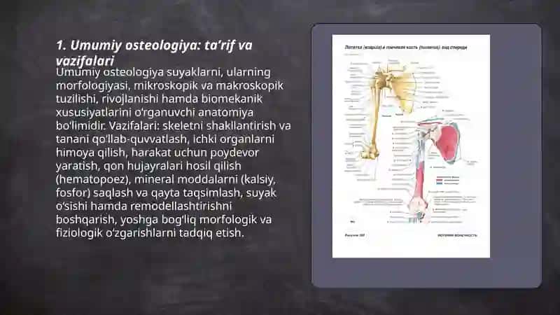 Umumiy osteologiya 3