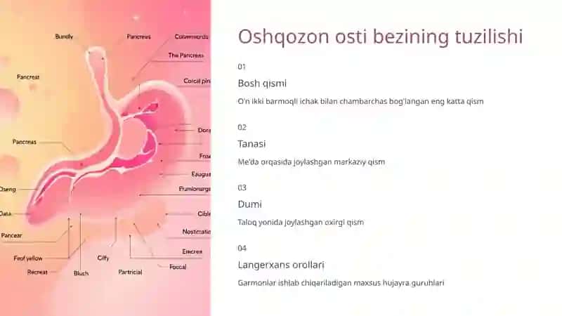 Oshqozon osti bezi garmonlari 3