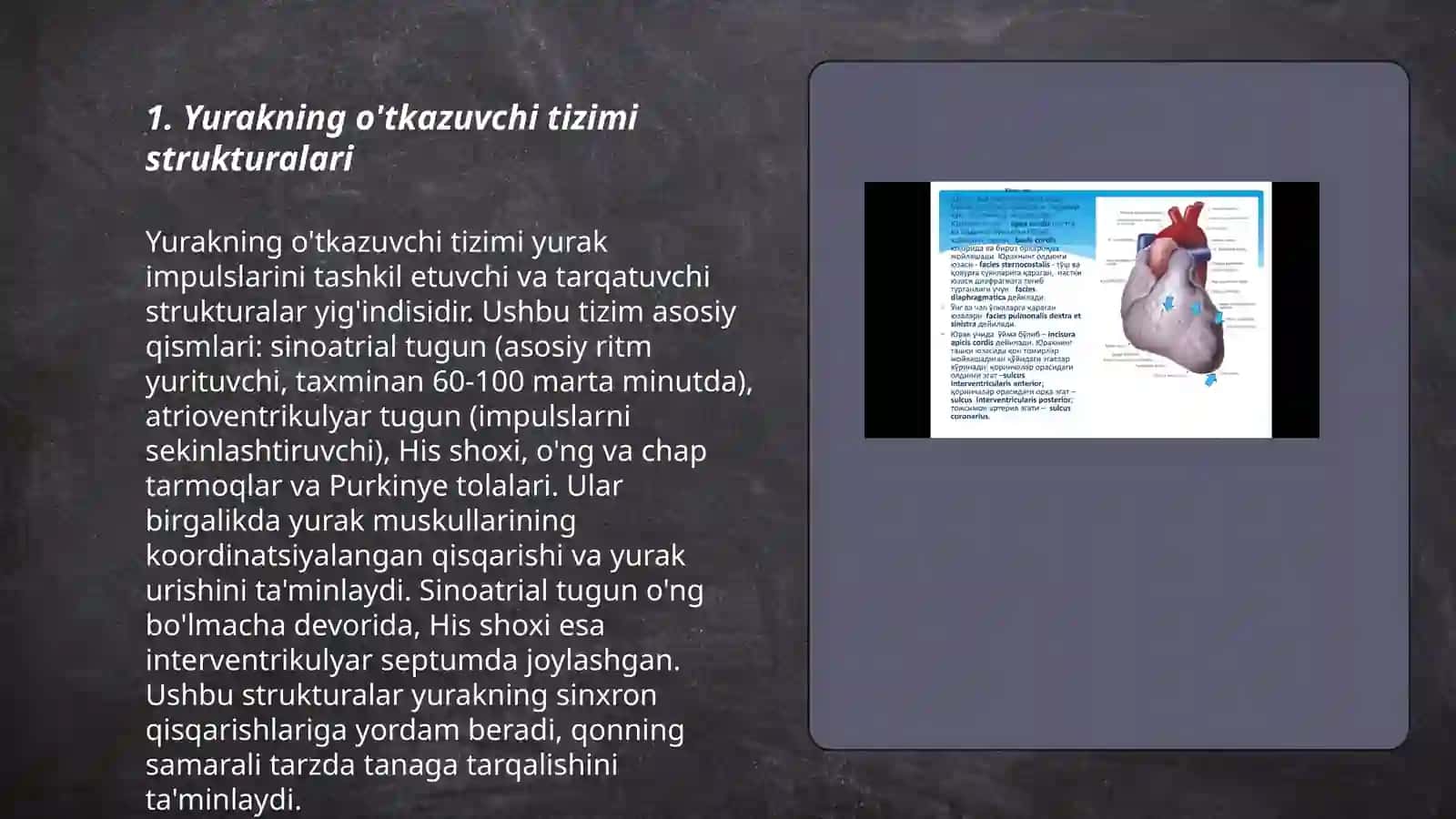 Yurakning o'tkazuvchi tizimi. Yurak avtomatizmi 3
