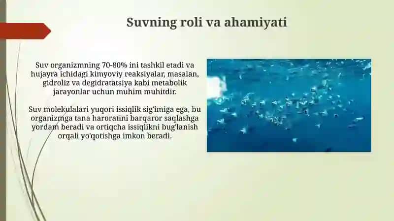 Arganizimning suv-dispers sistemasi 3