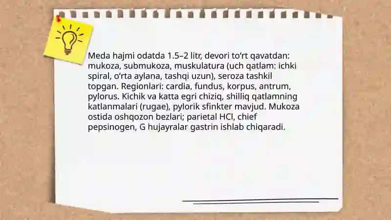 Meda va meda osti beziga ta'rif 3