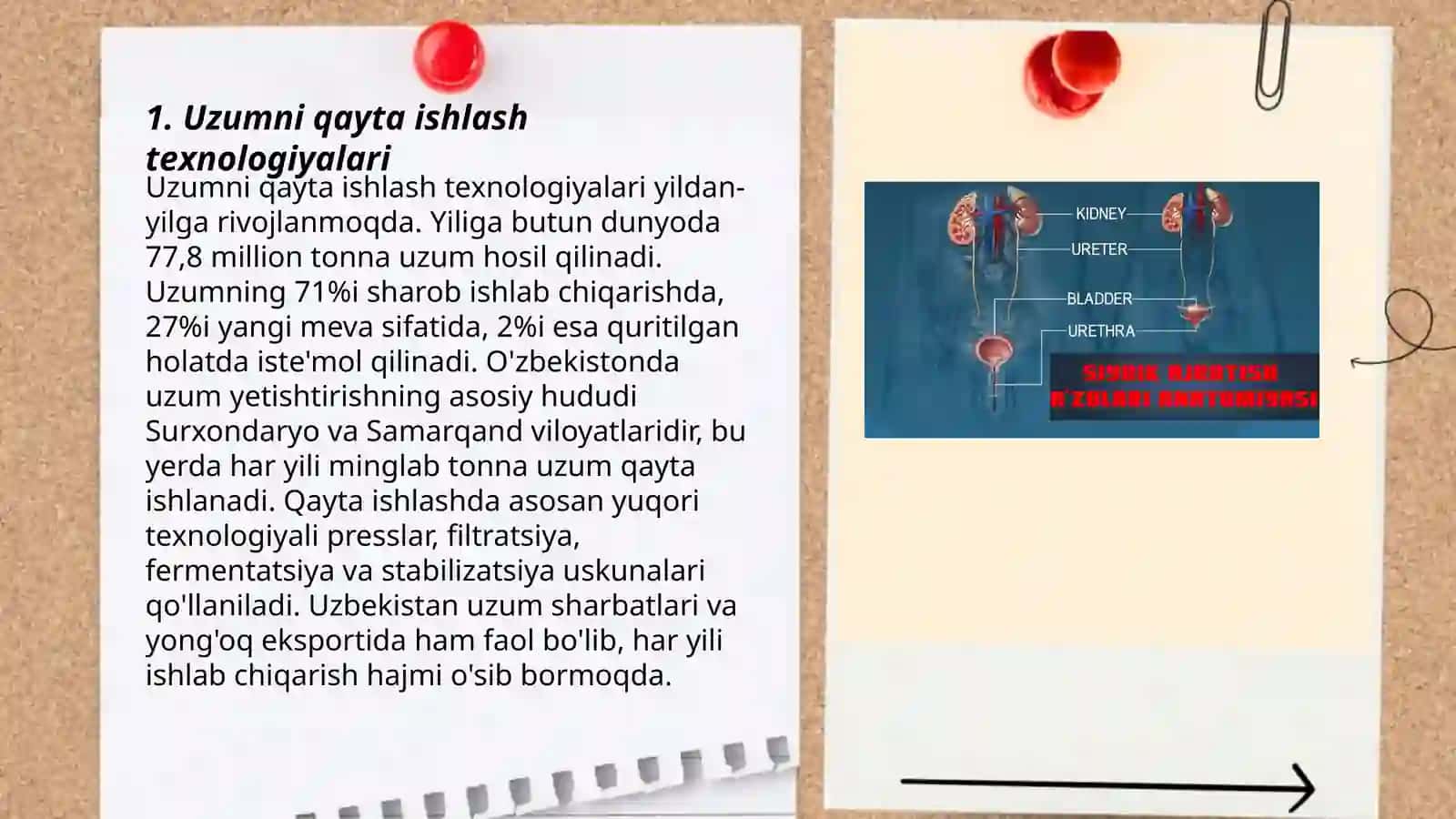 Uzumni keraksiz qismlardan ajratish qurilmasi 3