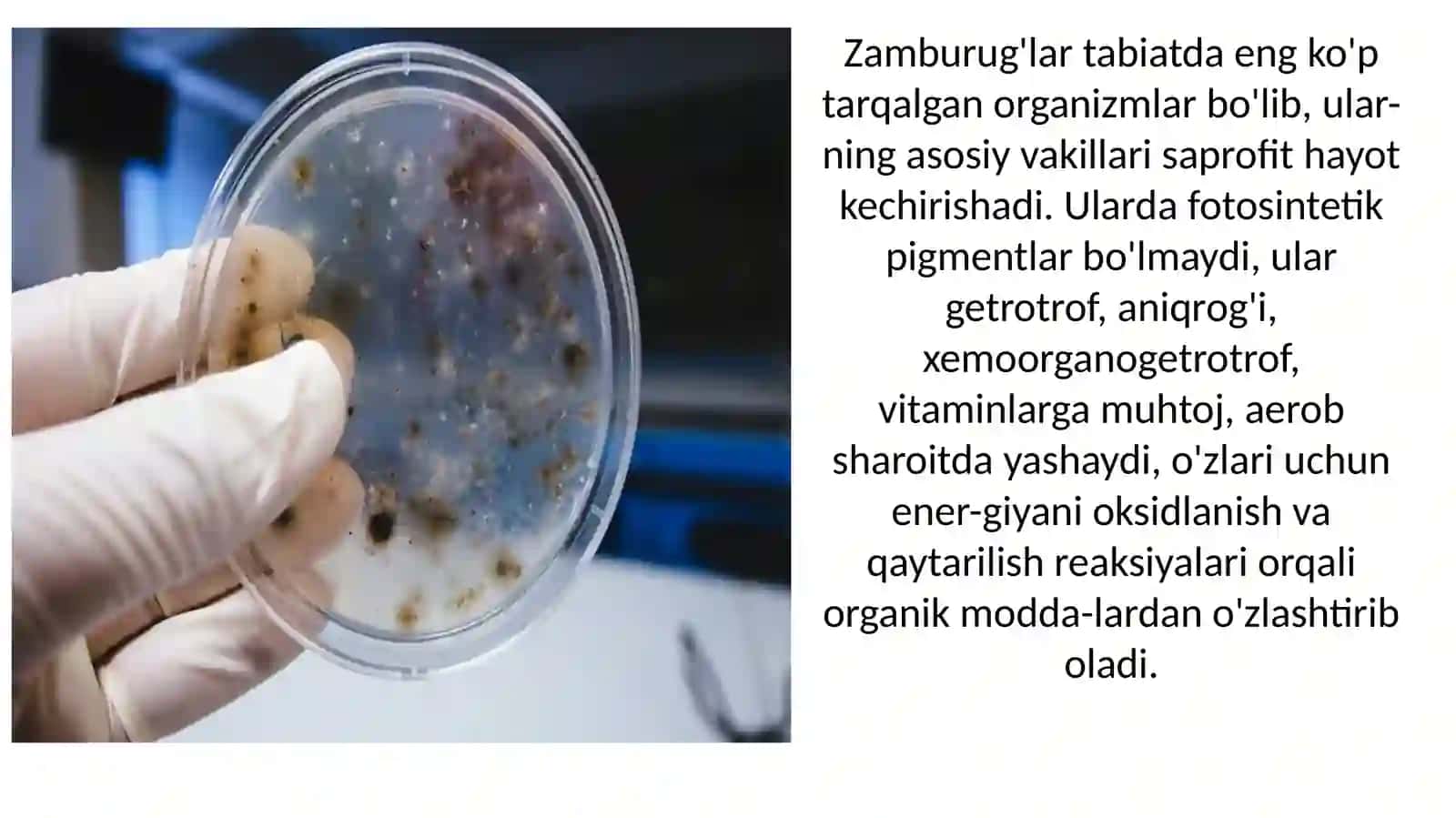 PATOGEN ZAMBRUG’LAR CHIQARUVCHI KASALLIKLAR VA ULARNI LABARATOR DIAGNOSTIKASI 3