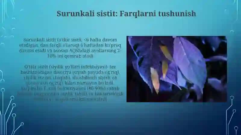 Oʻtkir va surunkali sistit 3