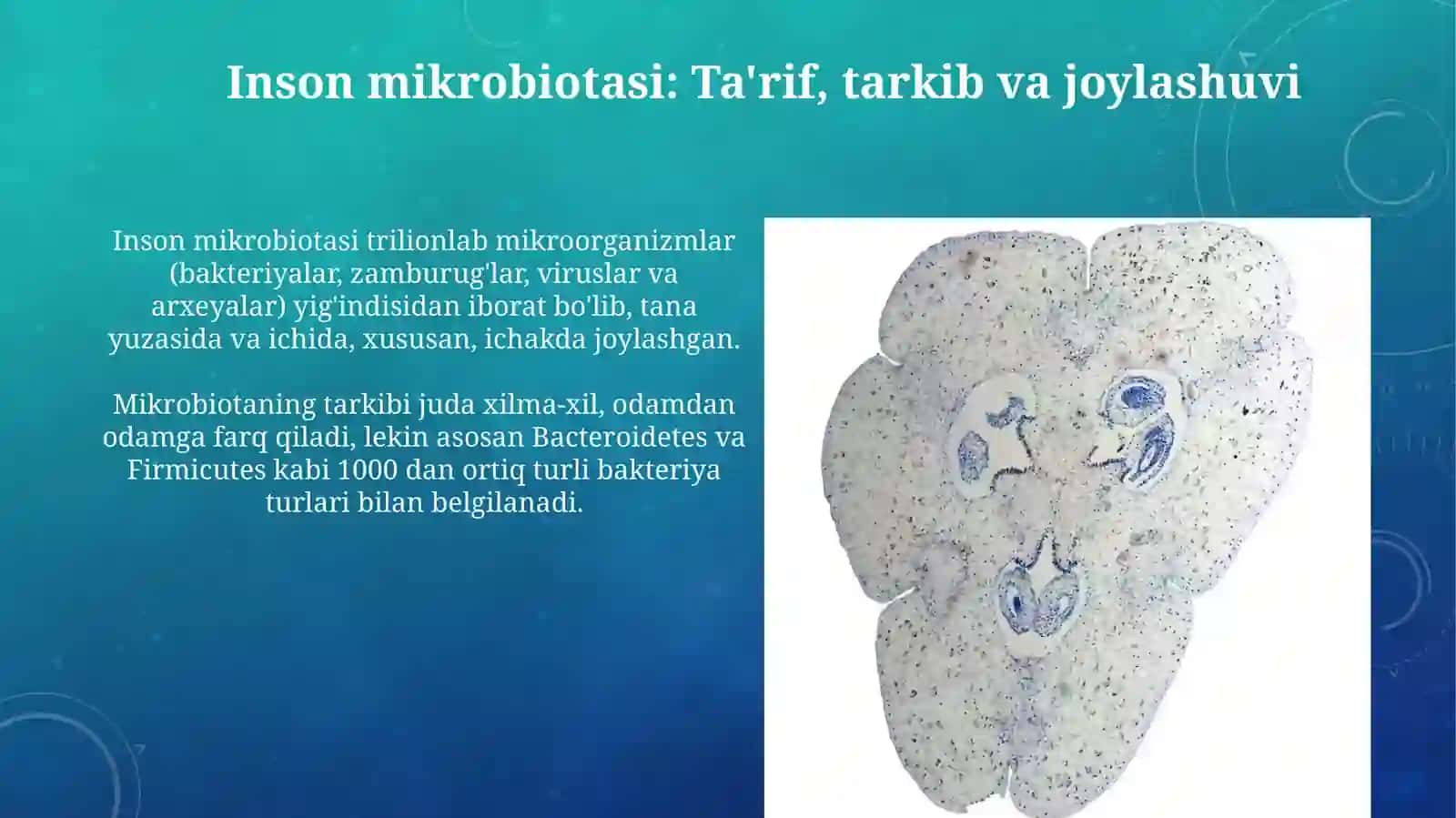 Inson mikroflorasi 3