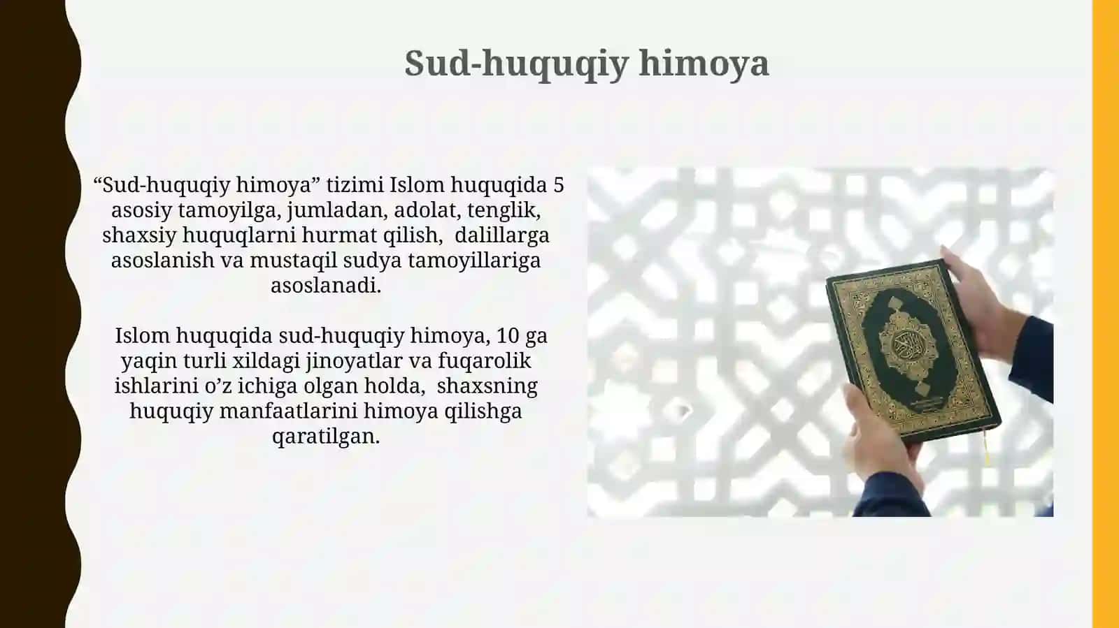 Sud-huquqiy himoya 3