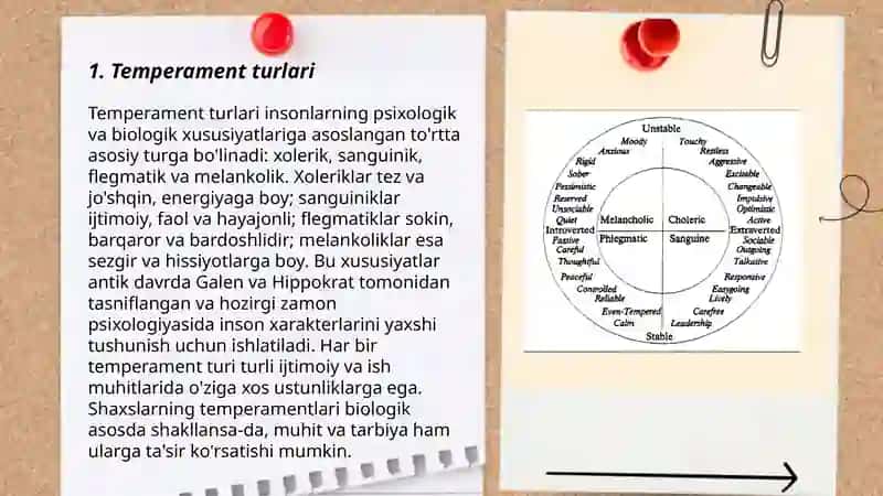 Temperament 3