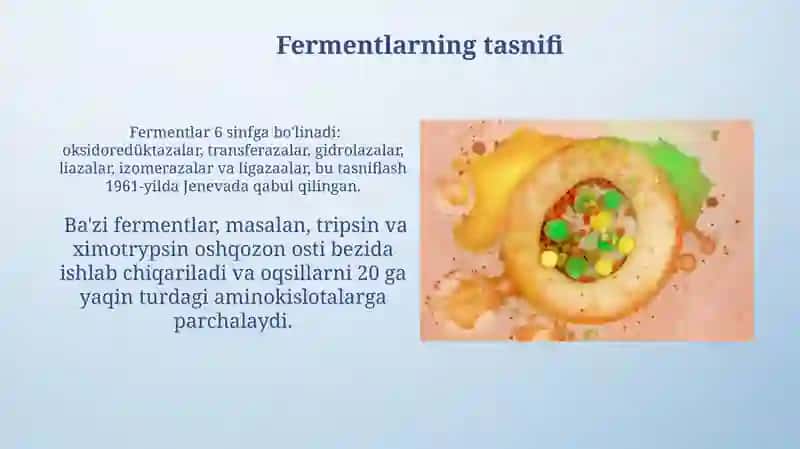 Fermentlarning organizmdagi vazifasi 3