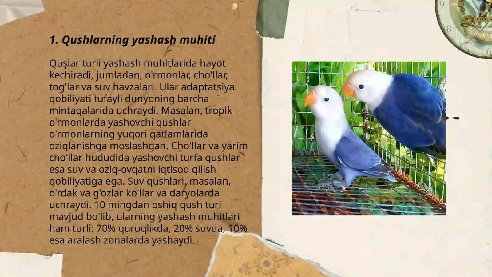 Qushlar ekologiyasi 3