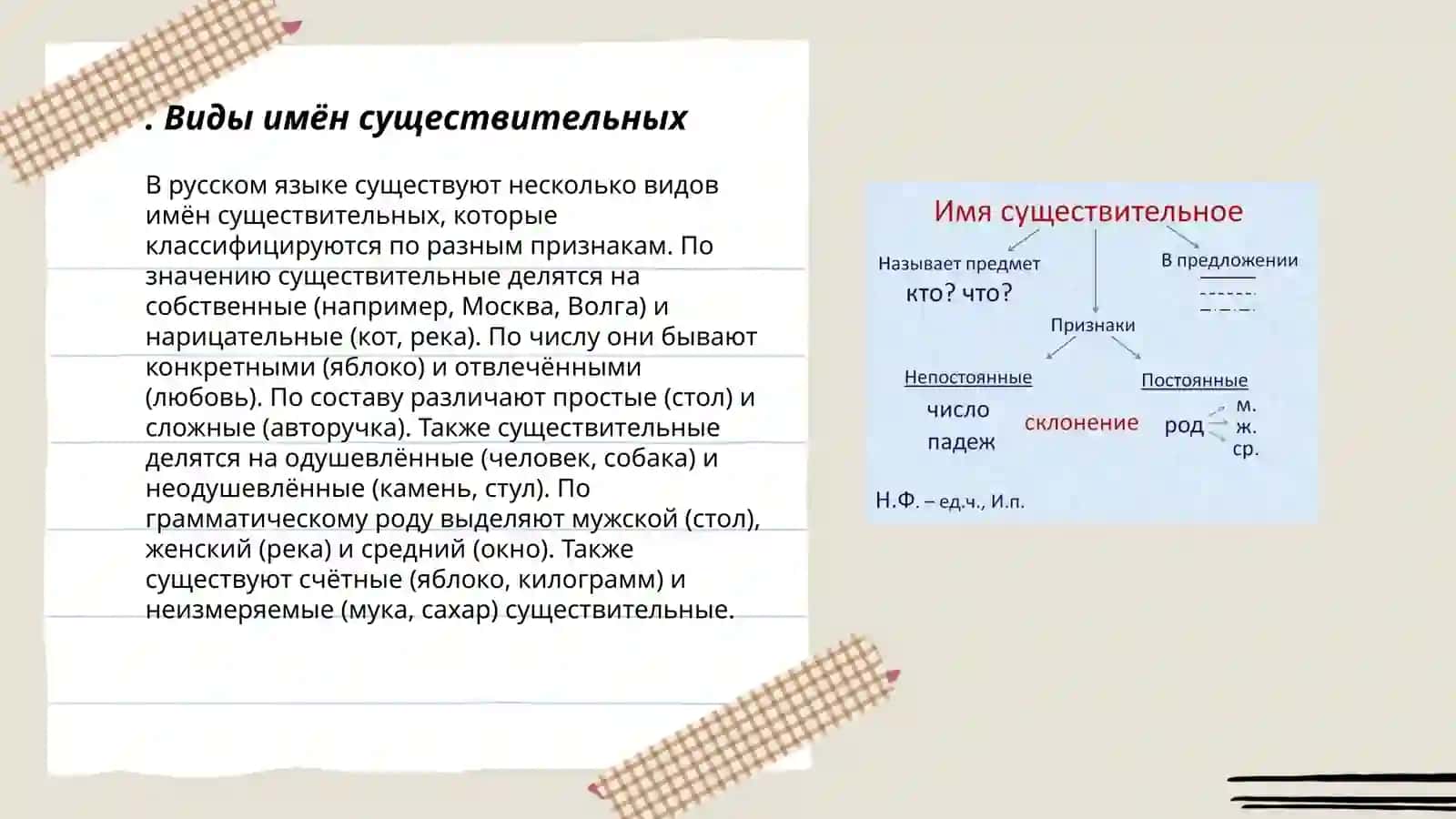 Виды имён существительных 3