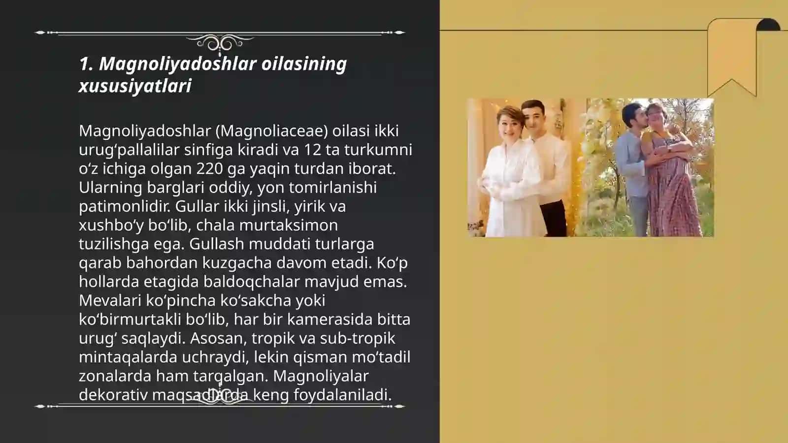 Magnoliyadoshlar oilasi 3