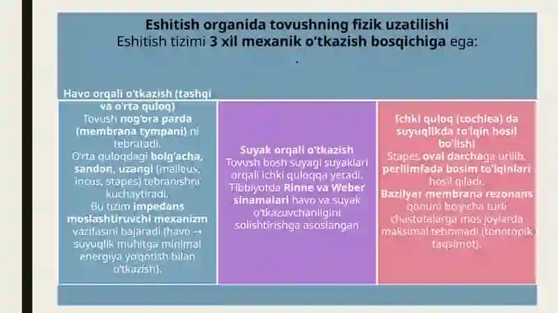 Eshitish sistemasining fizik xususiyatlari 3