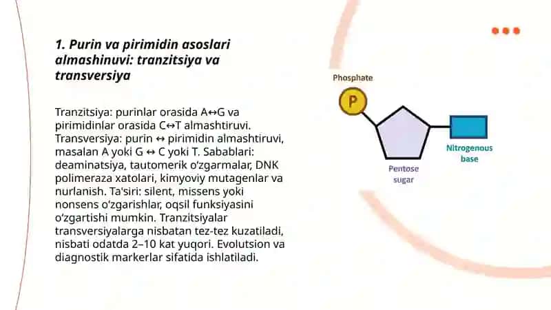 Purin va pirimidin asoslari almashinuvi 3