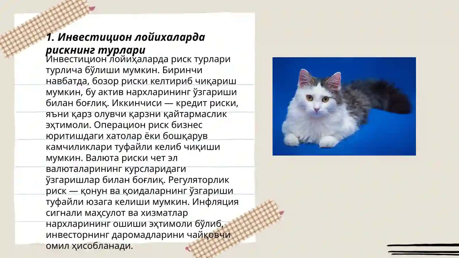 Ивестицион лойихаларда риск ва даромадлилик даражаси 3