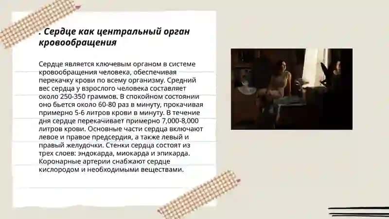 Состав системы кровообращения 3