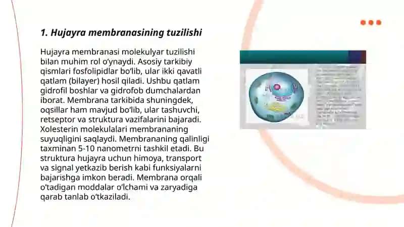 Hujayra membranasida ionlar almashinuvi 3