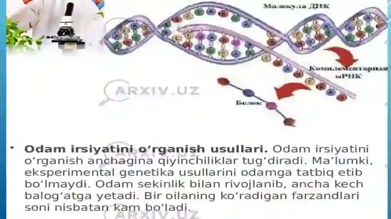 Odam genetikasi o'rganish usullari 3