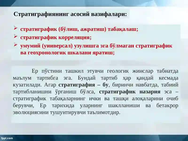 Стратиграфия фани 3