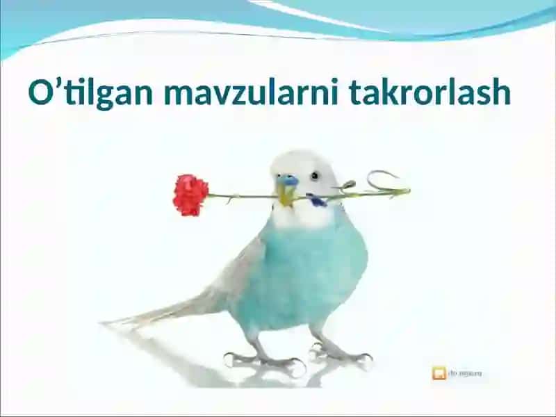 Odam genetikasini o’rganish usullari 3