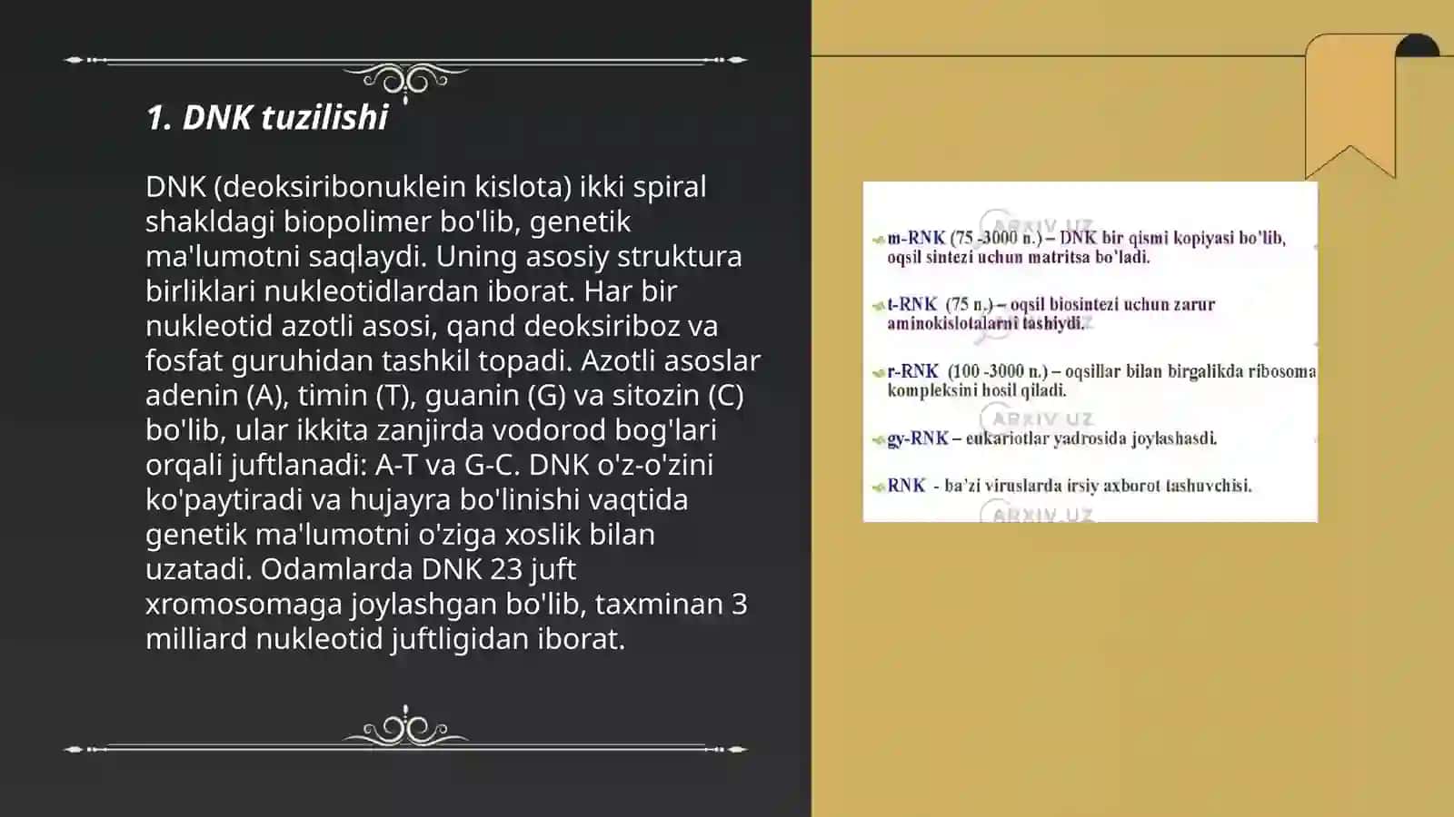 DNK haqida 3
