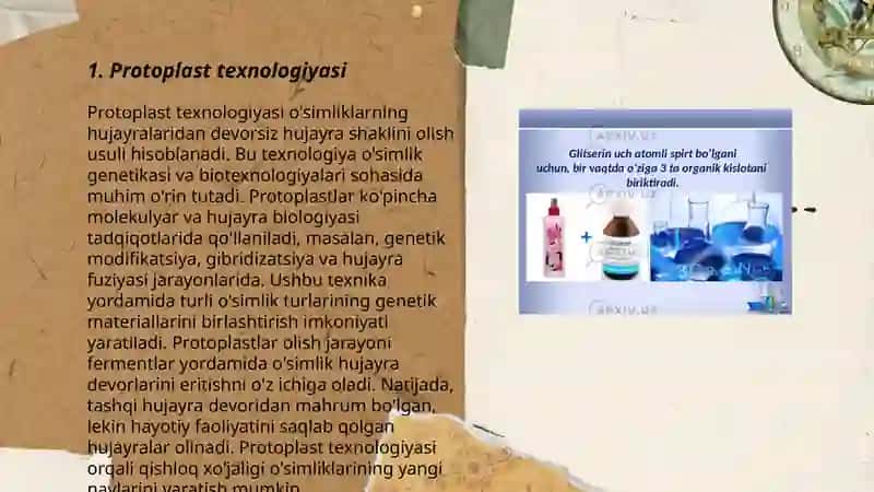 Protoplastlarni olinishi. Fitogarmonlar 3
