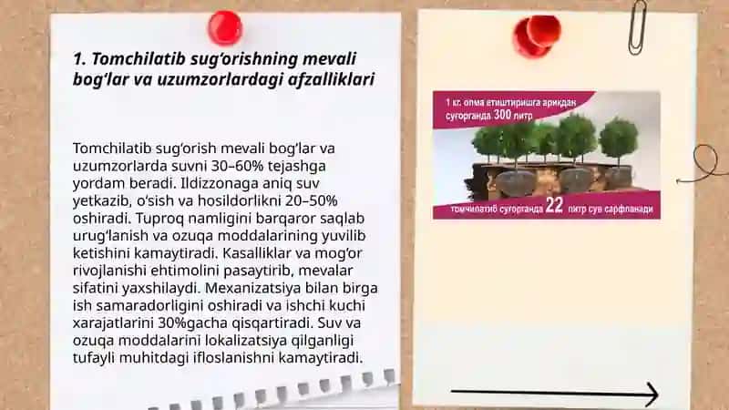 Tomchilatib sug‘orish usullari 3