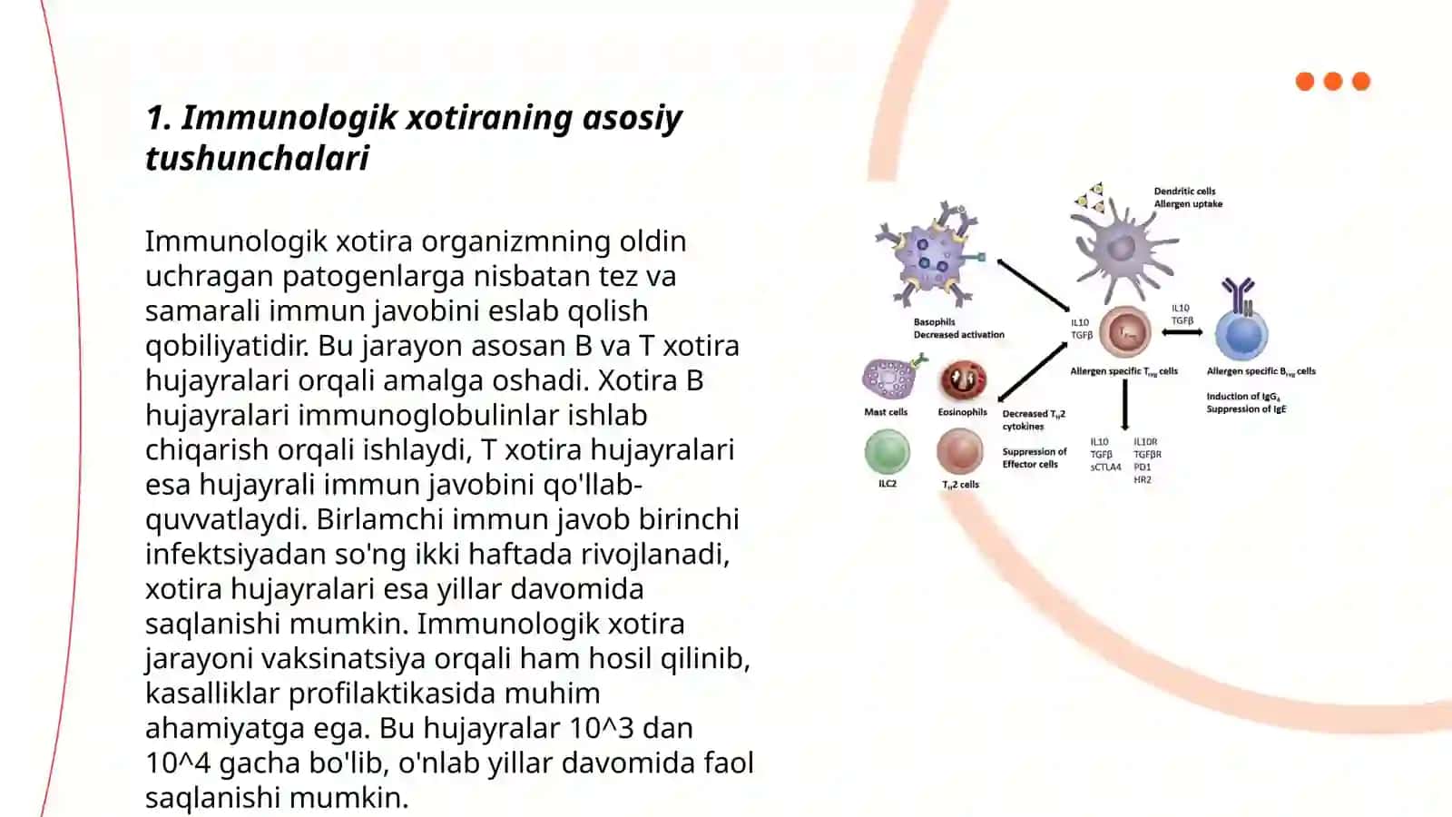 Immunologik xotira 3