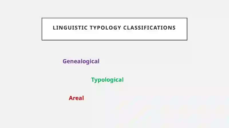 The subject matter of the linguistic typology 3