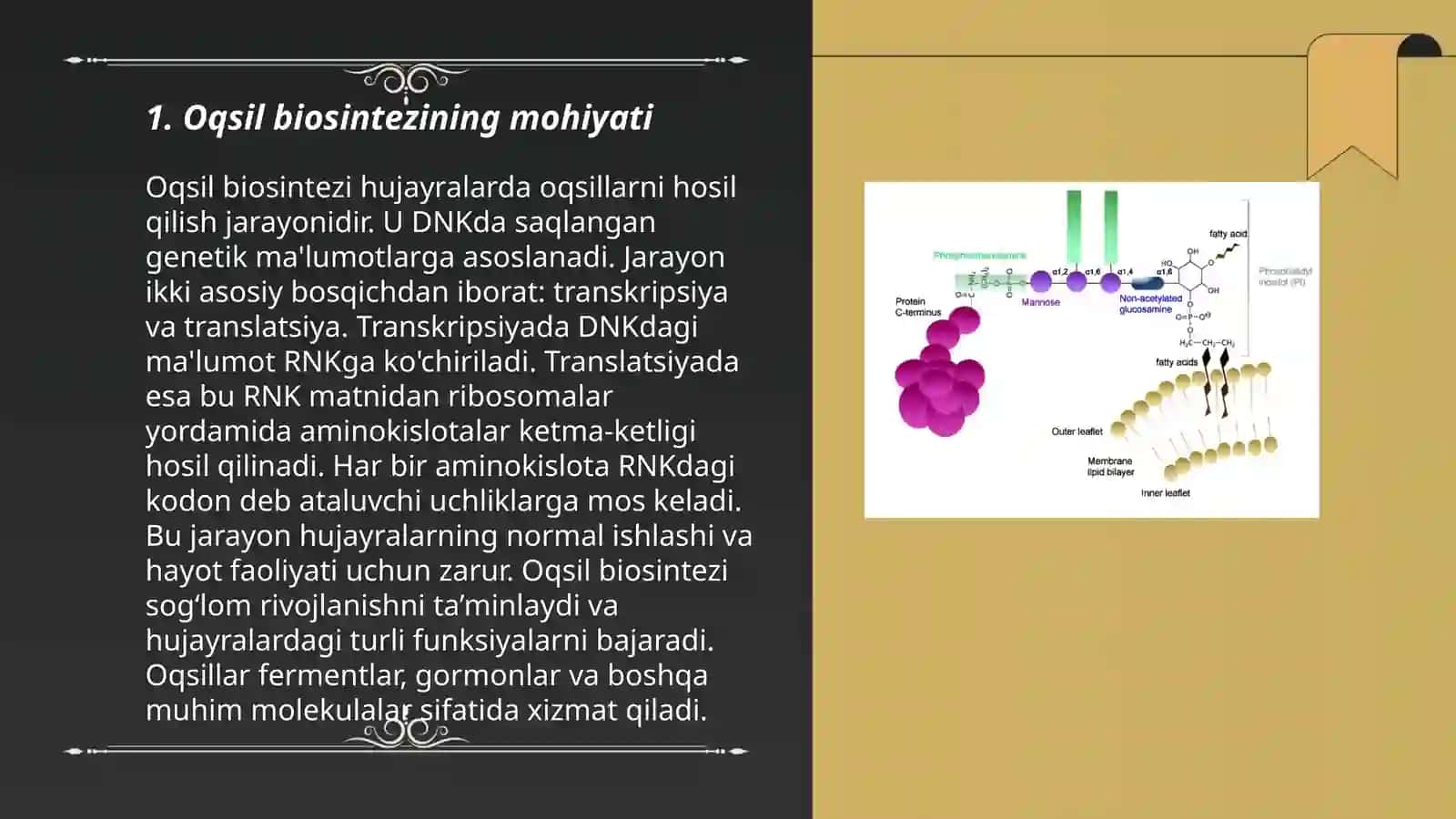 Oqsil biosintezi ingibitorlari 3