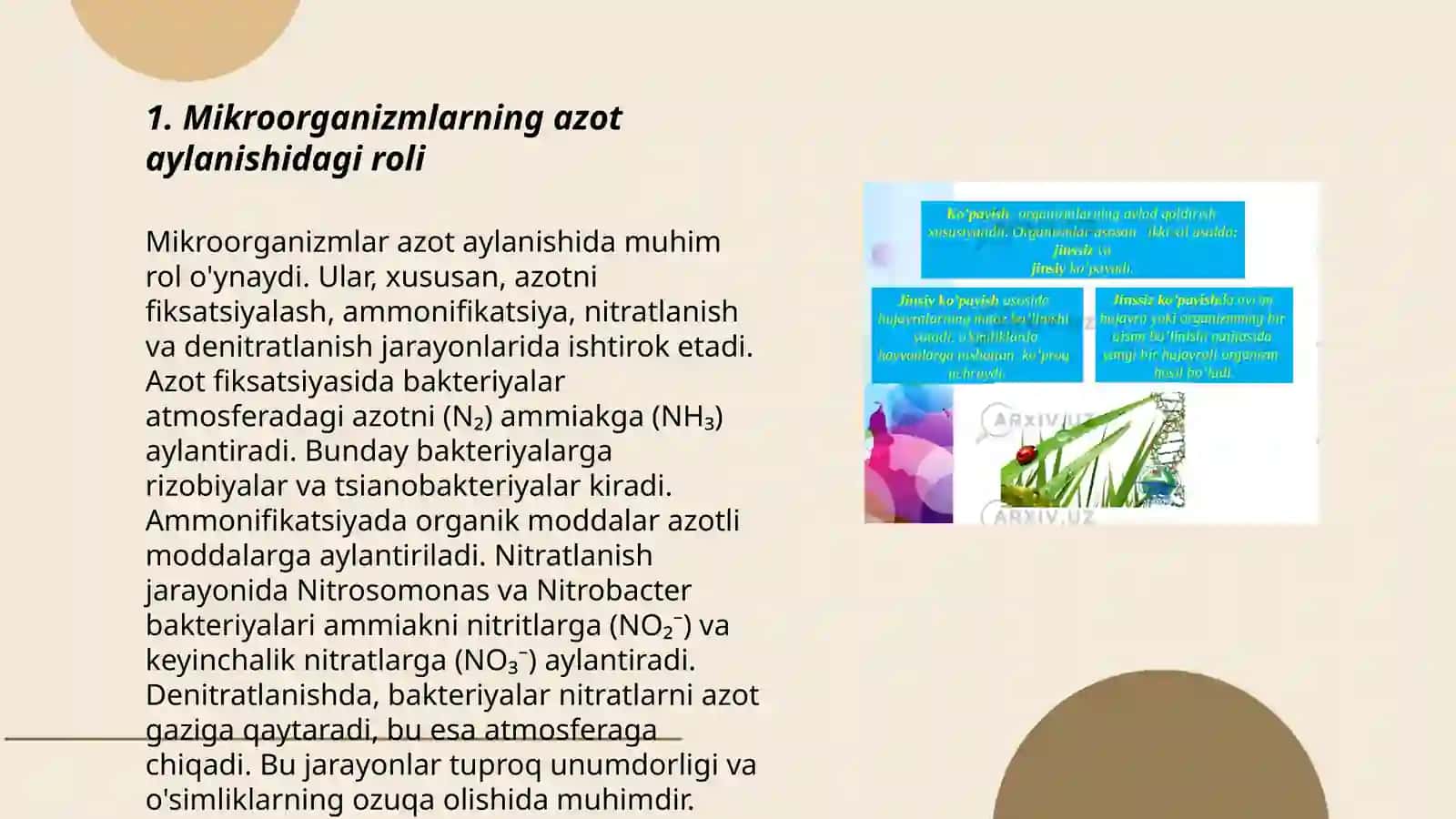 Mikroorganizmlarning ekotizmdagi ahamiyati 3