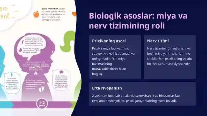 Inson psixikasining ontogenezdagi rivojlanishi 3