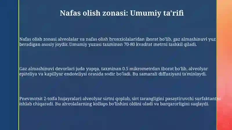 Nafas azolaring umumiy morfofunksional tavsifi 3