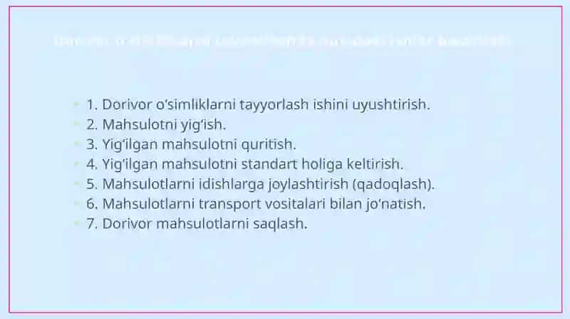 Dorivor O'simliklarni Tayyorlash 3