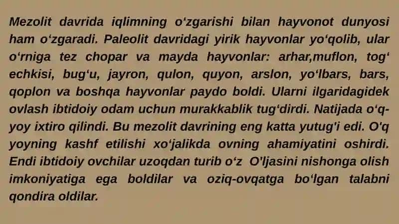 Mezolit davriga oid manzilgohlari 3
