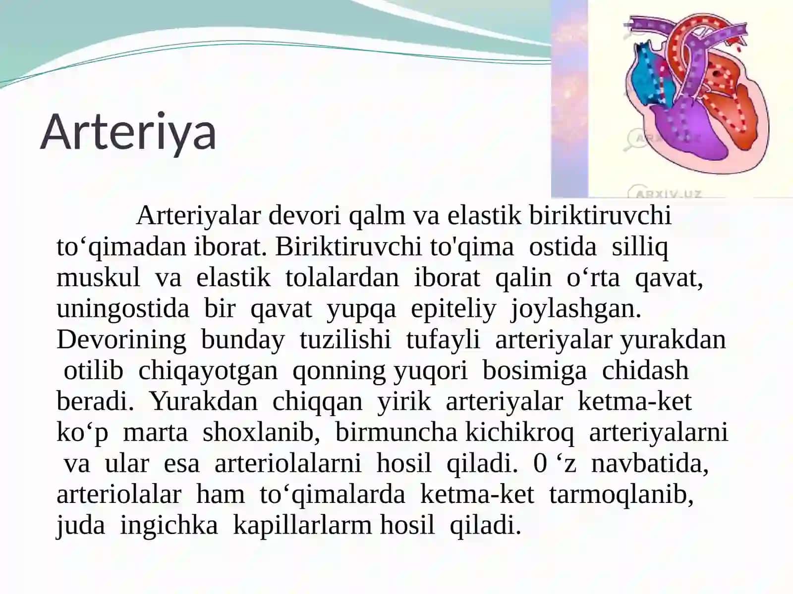 Qontomirlari,qonaylanishdoirasi 3