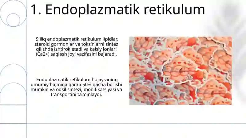 Hujayra fiziologiyasi 3