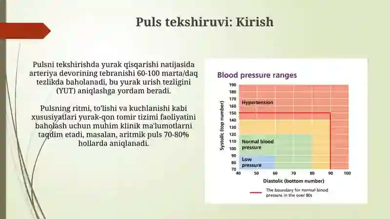 Pulsni tekshirish va qon bosimi asoslari 3