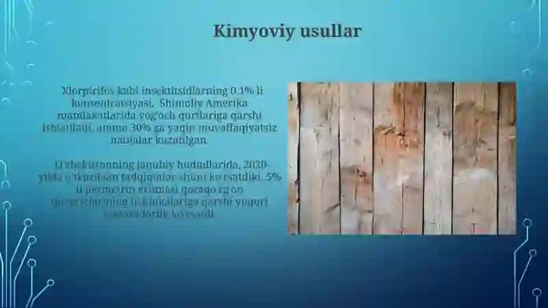 Ksilofag hasharotlar 3