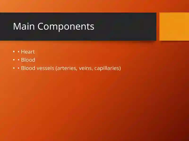 Circulatory System 3