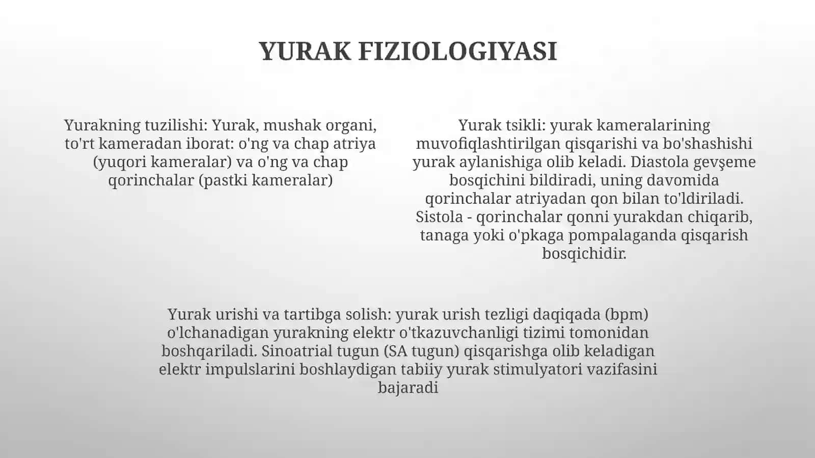 Yurak 3