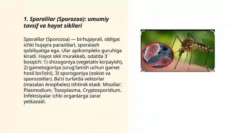 Sporalilar (Sporozoa) 3