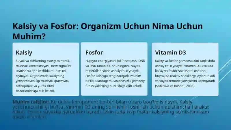 Kalsiy va Fosfor metabolizmi 3