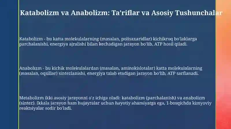 Katabolizm va Anabolizm 3