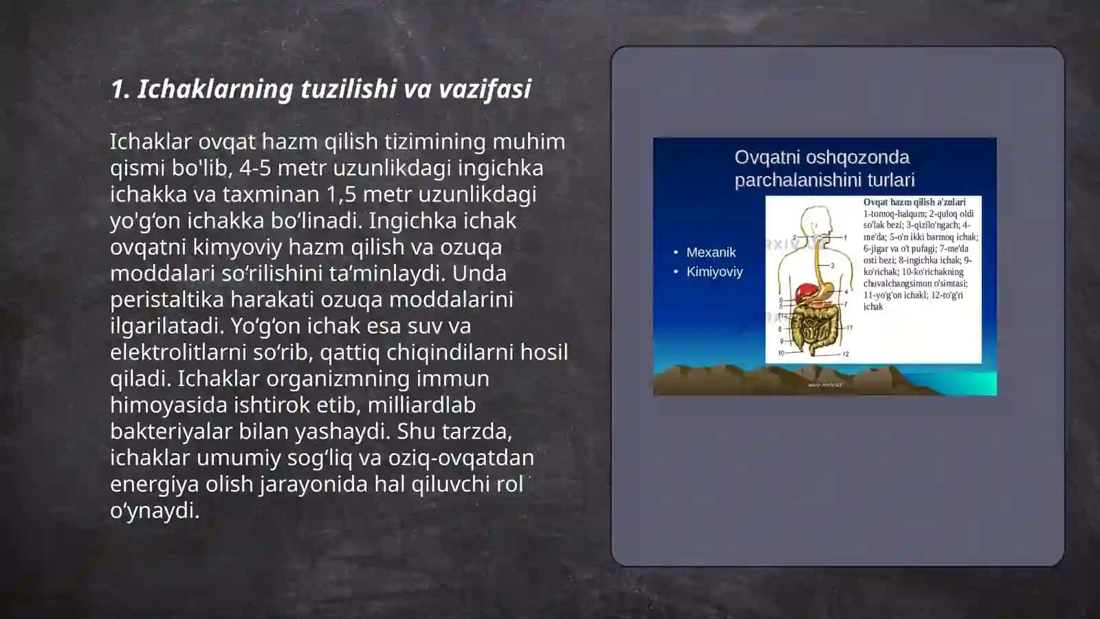 Ovqat Hazm Qilish Tizimi 3